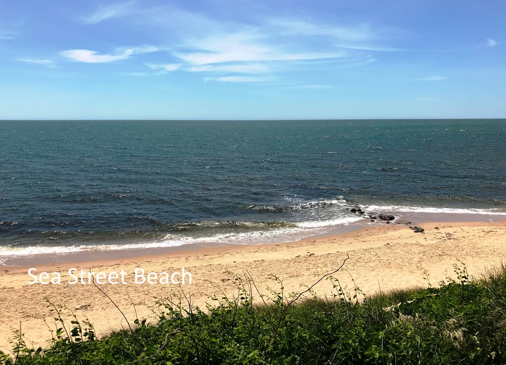 Dennis Port Rentals Cape Cod Oceanview Realty